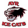 Ayr Ice Cats